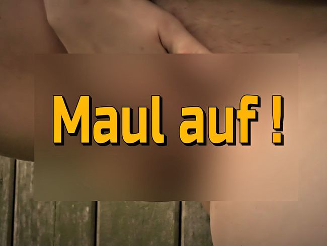 little nicky Porno Video: Maul auf ! Damit ich pi**en kann